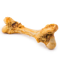 Beef Femur Bone XL