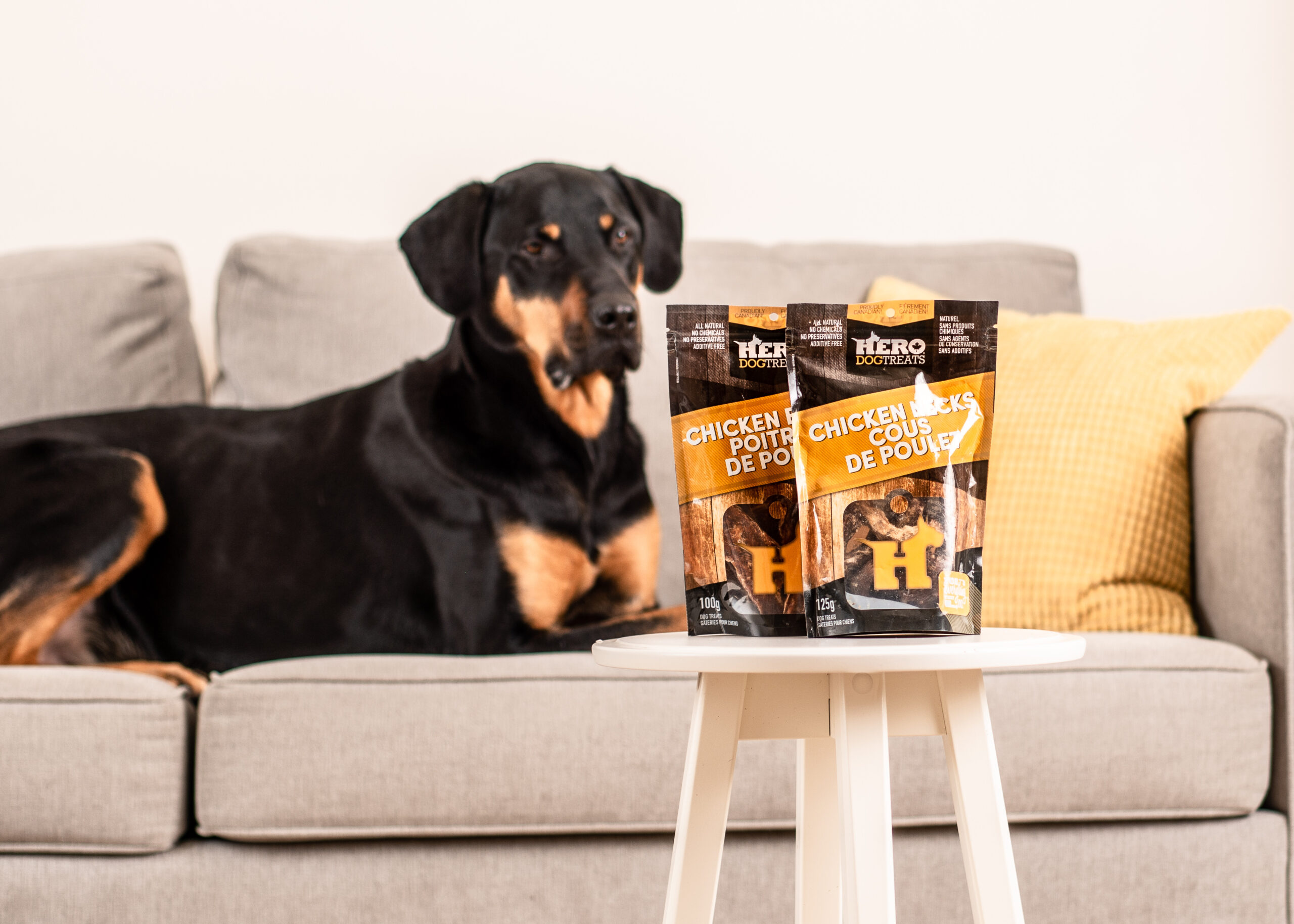 hero dog treats case study