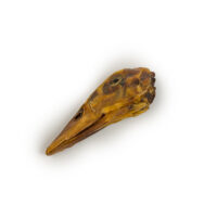 Duck Head - Image 2