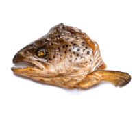 Salmon Head - Image 2