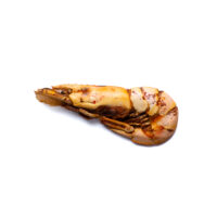 Pink Shrimp - Image 2
