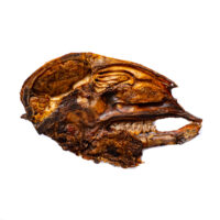 Lamb Head - Image 2