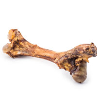 Smoked Beef Femur Bone XL - Image 2