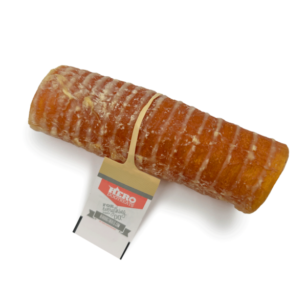 Beef Trachea - 6 INCH