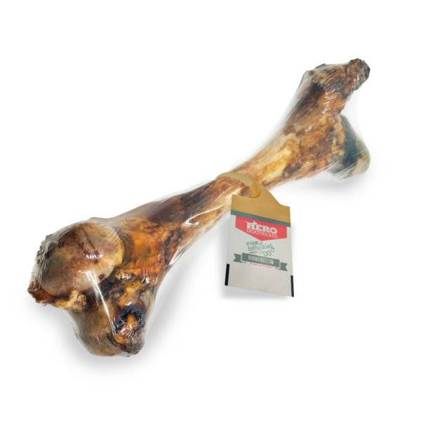 Smoked Beef Femur Bone XL