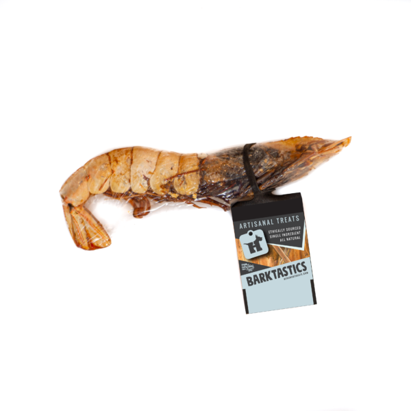 Pink Shrimp