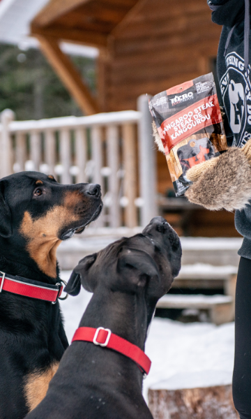 hero dog treats wholesale